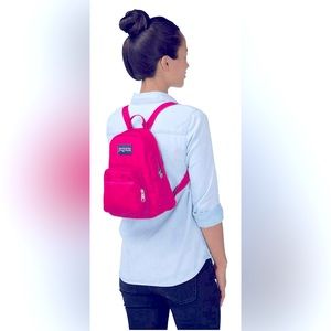 🌟NWT🌟 JANSPORT half pint backpack
